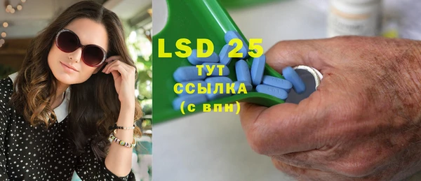 ГАЛЛЮЦИНОГЕННЫЕ ГРИБЫ Вяземский