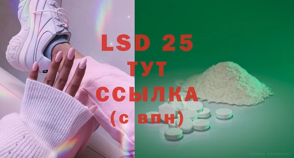 ГАЛЛЮЦИНОГЕННЫЕ ГРИБЫ Вяземский