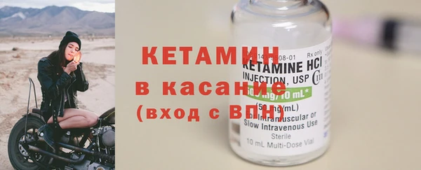 индика Вязьма