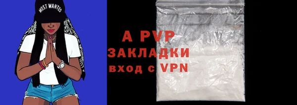 ГАЛЛЮЦИНОГЕННЫЕ ГРИБЫ Вяземский