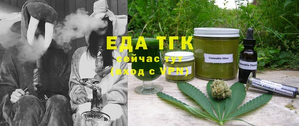 индика Вязьма