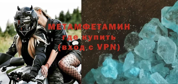 ГАЛЛЮЦИНОГЕННЫЕ ГРИБЫ Вяземский