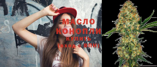 индика Вязьма