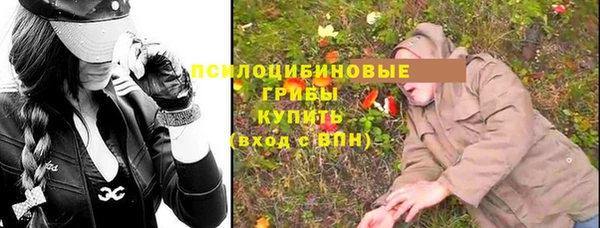 индика Вязьма