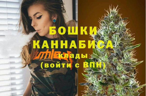 индика Вязьма