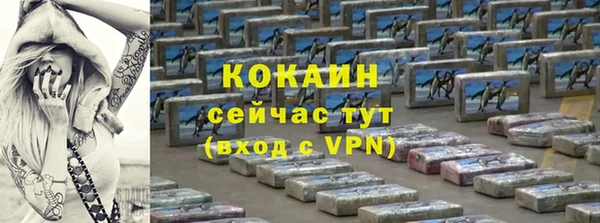 индика Вязьма