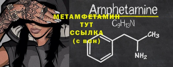 индика Вязьма
