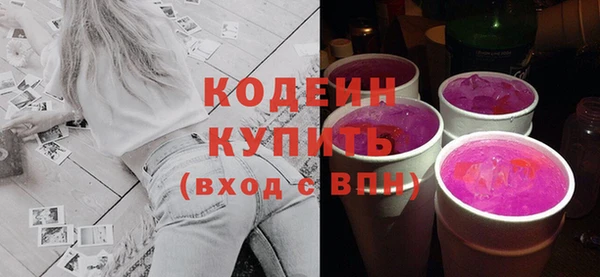 индика Вязьма