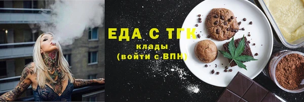 индика Вязьма
