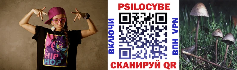 Купить  Тулун  Галлюциногенные грибы Psilocybe 
